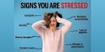 5 Simple Techniques to Reduce Stress and Anxiety